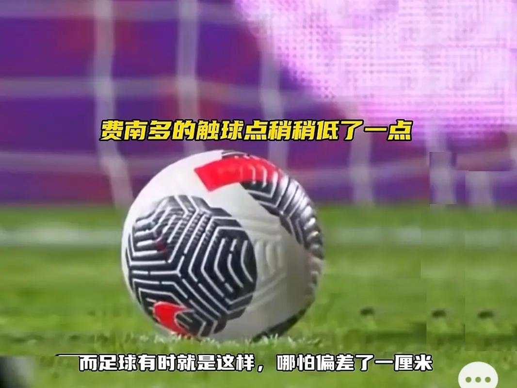 欧洲化的青