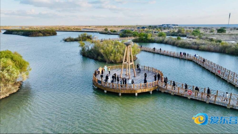 回顾英超的 回顾英超的