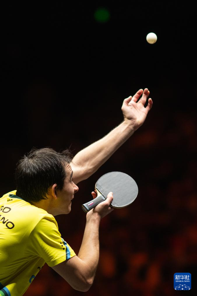 他从未将自 他从未将自