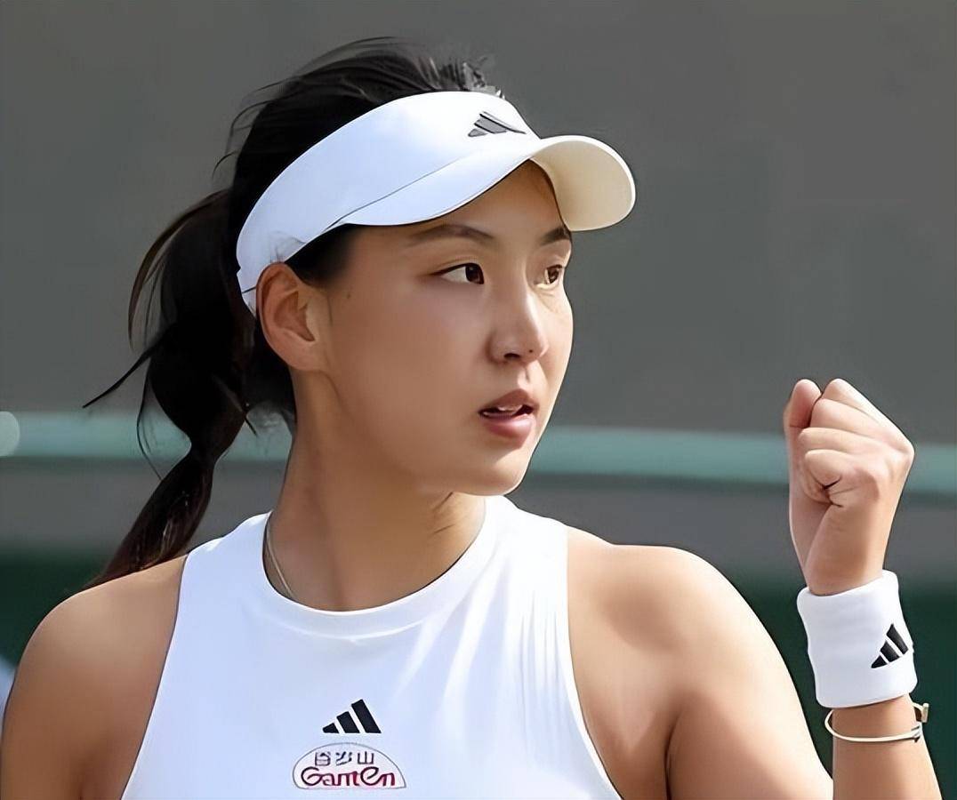 新疆飞虎加 新疆飞虎加